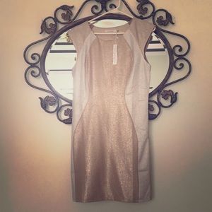 Tan Shimmer Dress